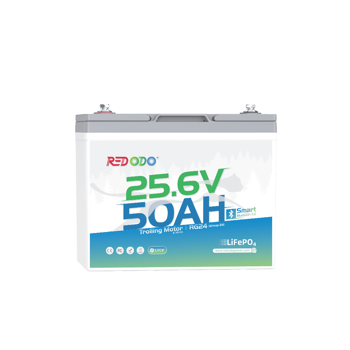 12V or 24V - which system voltage?